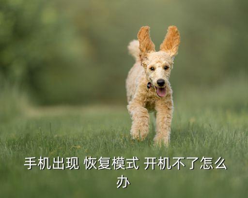  手機出現 恢復模式 開機不了怎么辦