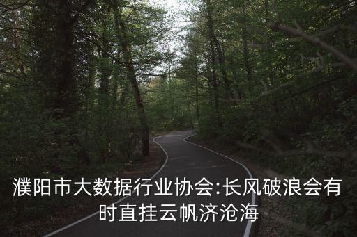 濮陽(yáng)市大數(shù)據(jù)行業(yè)協(xié)會(huì):長(zhǎng)風(fēng)破浪會(huì)有時(shí)直掛云帆濟(jì)滄海