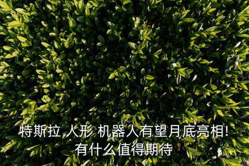 特斯拉 人形 機(jī)器人有望月底亮相!有什么值得期待