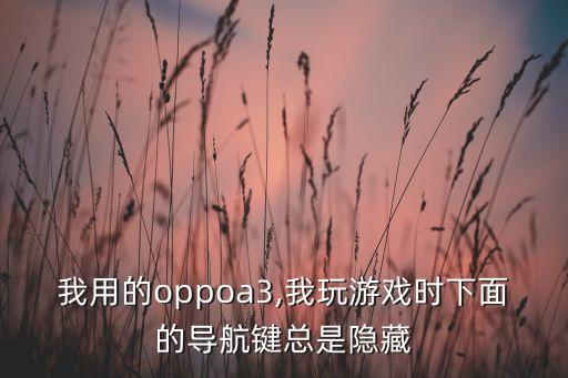 虛擬按鍵自動消失,帕斯卡契約虛擬按鍵消失