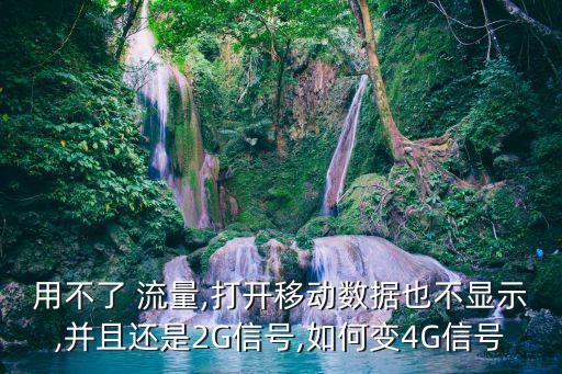 用不了 流量,打開移動數(shù)據(jù)也不顯示,并且還是2G信號,如何變4G信號