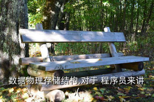 數(shù)據(jù)物理存儲結構,對于 程序員來講,(