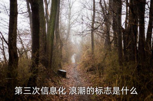 第三次信息化 浪潮的標志是什么
