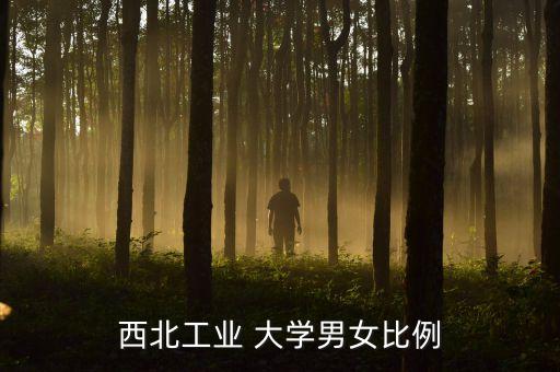 西北工業(yè) 大學男女比例