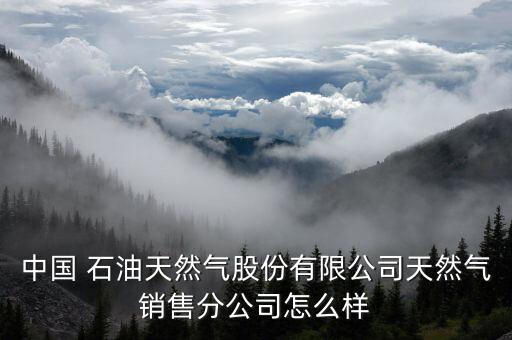中國 石油天然氣股份有限公司天然氣銷售分公司怎么樣
