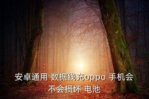 數(shù)據(jù)線給手機(jī)充電 電池會損害嗎,為什么換電池后手機(jī)充電顯示數(shù)據(jù)線有問題