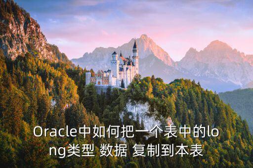 Oracle中如何把一個(gè)表中的long類型 數(shù)據(jù) 復(fù)制到本表