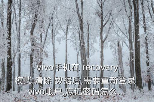  vivo手機(jī)在 recovery模式 清除 數(shù)據(jù)后,需要重新登錄 vivo賬戶,忘記密碼怎么...