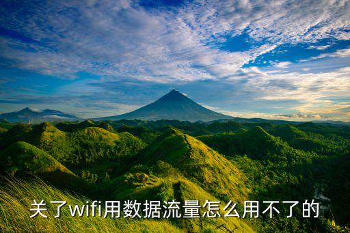 手機關了蜂窩數(shù)據(jù)連接不上怎么回事