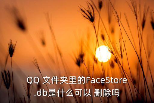 qq數(shù)據(jù)庫(kù)文件刪除,自動(dòng)更新數(shù)據(jù)庫(kù)文件可以刪除嗎