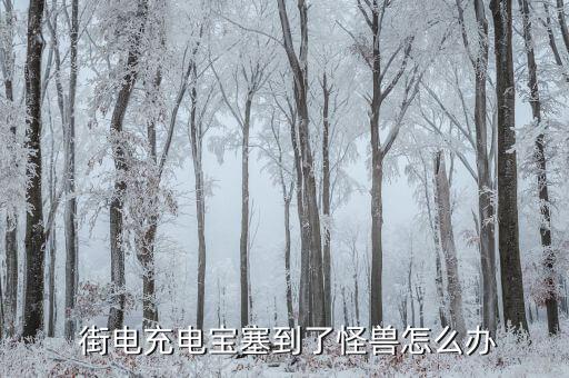  街電充電寶塞到了怪獸怎么辦
