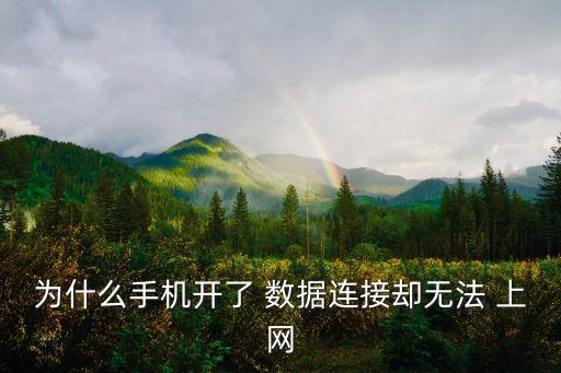 為什么手機開了 數(shù)據(jù)連接卻無法 上網(wǎng)