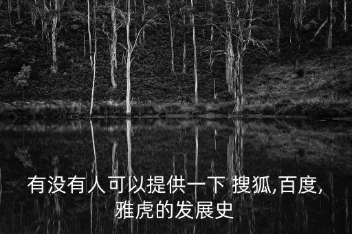 有沒有人可以提供一下 搜狐,百度,雅虎的發(fā)展史