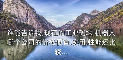 重慶永川廣數(shù)機器人