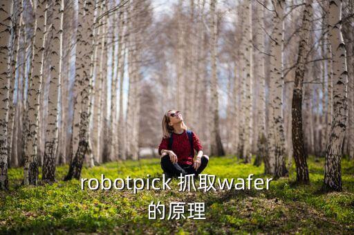 robotpick 抓取wafer的原理
