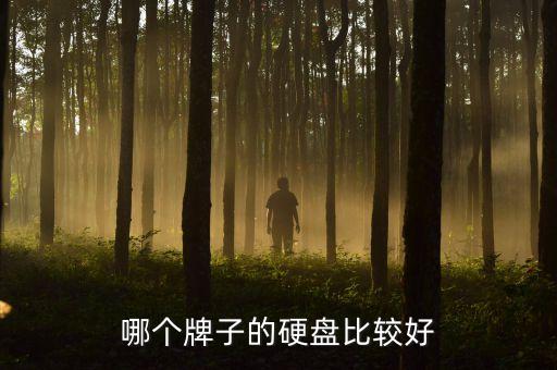 哪個(gè)牌子的硬盤比較好