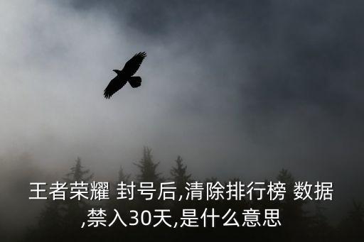 掃數(shù)據(jù)封號,修改游戲數(shù)據(jù)會封號嗎