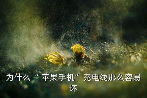 為什么“ 蘋(píng)果手機(jī)”充電線那么容易壞