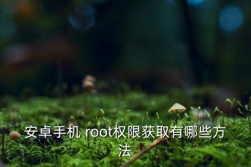 怎樣root應(yīng)用數(shù)據(jù),免root備份應(yīng)用數(shù)據(jù)的軟件