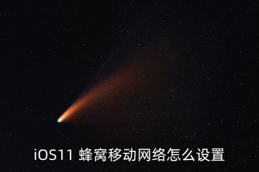 iOS11 蜂窩移動(dòng)網(wǎng)絡(luò)怎么設(shè)置
