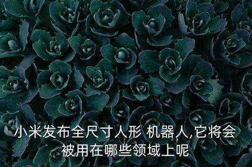 小米發(fā)布全尺寸人形 機(jī)器人,它將會(huì)被用在哪些領(lǐng)域上呢