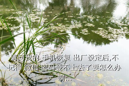 手機(jī)微信數(shù)據(jù)如何恢復(fù)出廠設(shè)置密碼