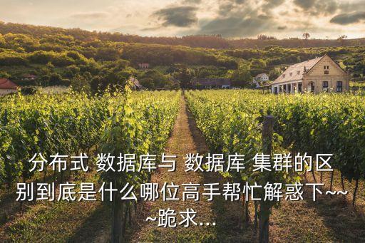 分布式 數(shù)據(jù)庫與 數(shù)據(jù)庫 集群的區(qū)別到底是什么哪位高手幫忙解惑下~~~跪求...