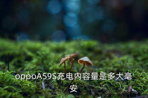 oppoA59S充電內(nèi)容量是多大毫安