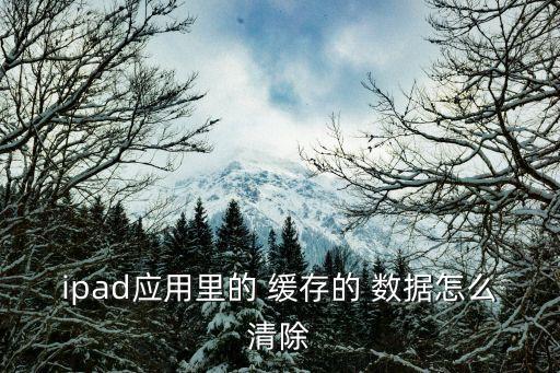 清楚軟件緩存數(shù)據(jù),蘋果手機怎么清楚應(yīng)用數(shù)據(jù)緩存