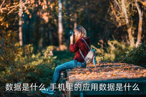 數(shù)據(jù)是什么,手機(jī)里的應(yīng)用數(shù)據(jù)是什么