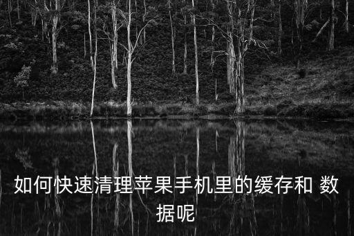 如何快速清理蘋果手機(jī)里的緩存和 數(shù)據(jù)呢
