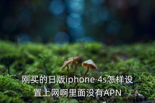 剛買的日版iphone 4s怎樣設(shè)置上網(wǎng)啊里面沒有APN