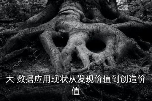 大 數(shù)據(jù)應(yīng)用現(xiàn)狀從發(fā)現(xiàn)價(jià)值到創(chuàng)造價(jià)值