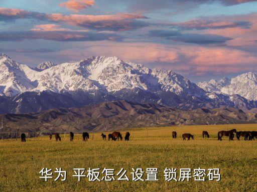  華為 平板怎么設(shè)置 鎖屏密碼