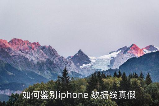 如何鑒別iphone 數據線真假