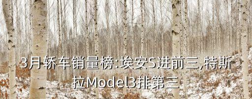 3月轎車銷量榜:埃安S進前三,特斯拉Model3排第三