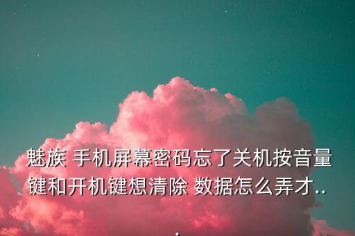  魅族 手機(jī)屏幕密碼忘了關(guān)機(jī)按音量鍵和開(kāi)機(jī)鍵想清除 數(shù)據(jù)怎么弄才...