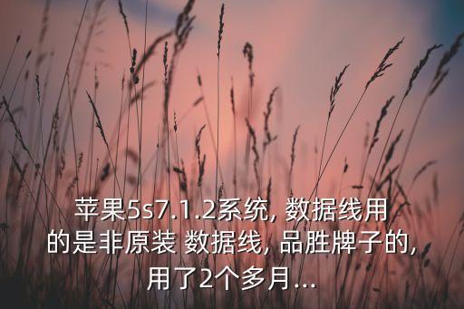 蘋果5s7.1.2系統(tǒng), 數(shù)據(jù)線用的是非原裝 數(shù)據(jù)線, 品勝牌子的,用了2個多月...