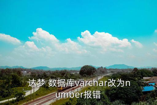  達夢 數(shù)據(jù)庫varchar改為number報錯