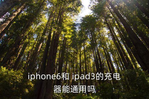 iphone6和 ipad3的充電器能通用嗎