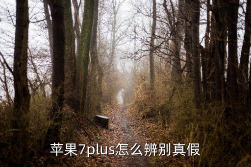 蘋果7plus怎么辨別真假