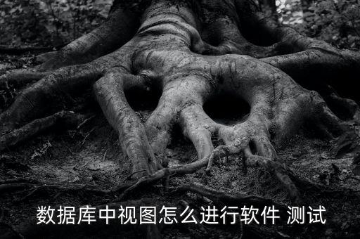  數(shù)據(jù)庫(kù)中視圖怎么進(jìn)行軟件 測(cè)試