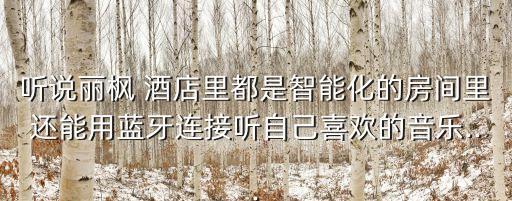 聽說麗楓 酒店里都是智能化的房間里還能用藍(lán)牙連接聽自己喜歡的音樂...