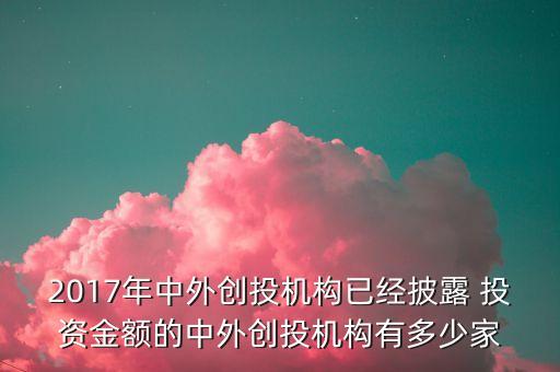 2017年中外創(chuàng)投機(jī)構(gòu)已經(jīng)披露 投資金額的中外創(chuàng)投機(jī)構(gòu)有多少家