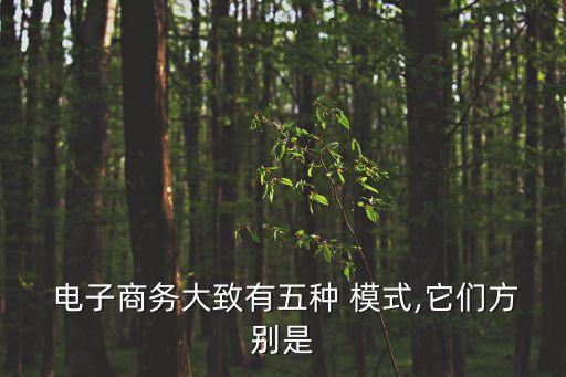  電子商務大致有五種 模式,它們方別是