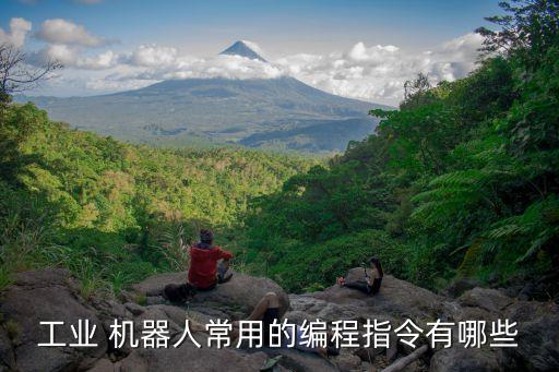 工業(yè) 機(jī)器人常用的編程指令有哪些