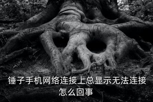 錘子數(shù)據(jù)漫游,iphone數(shù)據(jù)漫游要打開嗎