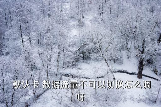 怎么修改默認(rèn)移動(dòng)數(shù)據(jù)網(wǎng)絡(luò)設(shè)置,榮耀手機(jī)默認(rèn)移動(dòng)數(shù)據(jù)為什么不能修改