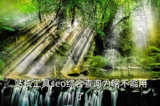 站長工具seo綜合查詢?yōu)樯恫荒苡昧? class=