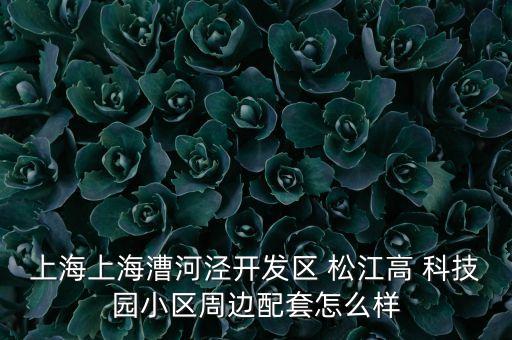 臨港松江科技城機(jī)器人,氦豚機(jī)器人科技有限公司松江地址